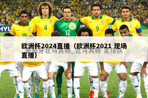 欧洲杯2024直播（欧洲杯2021 现场直播）