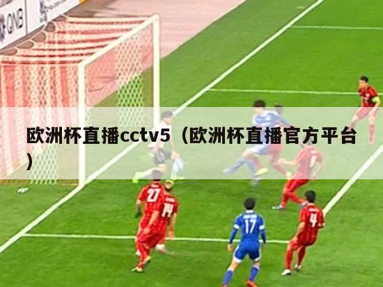 欧洲杯直播cctv5（欧洲杯直播官方平台）