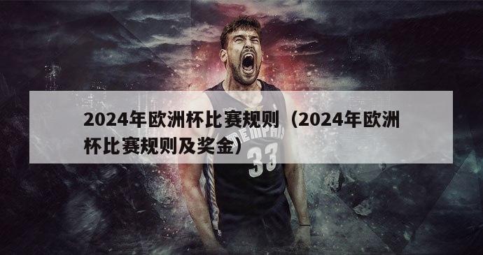 2024年欧洲杯比赛规则（2024年欧洲杯比赛规则及奖金）