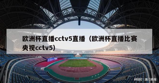 欧洲杯直播cctv5直播（欧洲杯直播比赛央视cctv5）