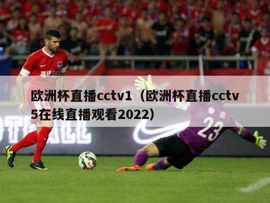 欧洲杯直播cctv1（欧洲杯直播cctv5在线直播观看2022）