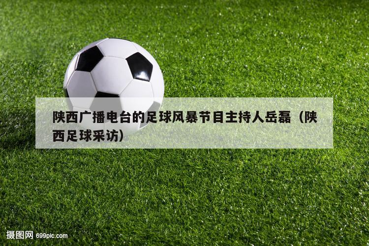 陕西广播电台的足球风暴节目主持人岳磊（陕西足球采访）