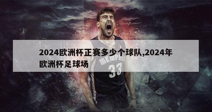 2024欧洲杯正赛多少个球队,2024年欧洲杯足球场