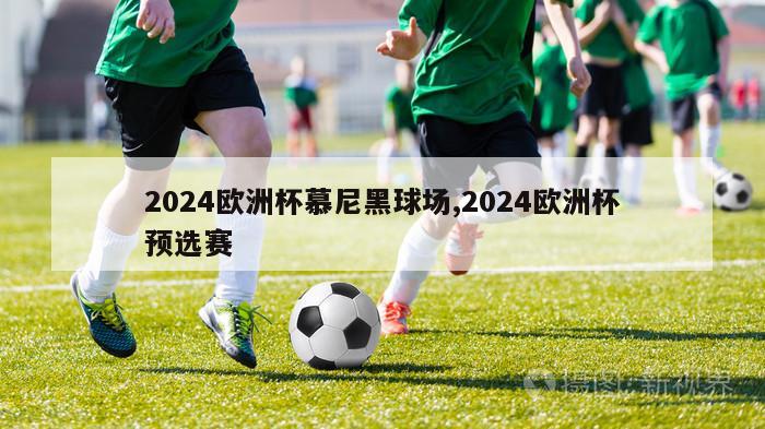 2024欧洲杯慕尼黑球场,2024欧洲杯预选赛