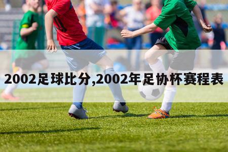 2002足球比分,2002年足协杯赛程表