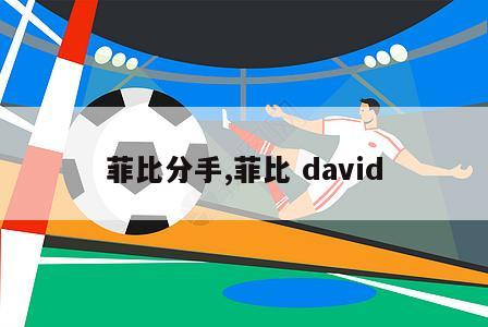 菲比分手,菲比 david