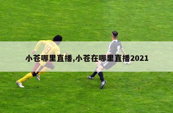 小苍哪里直播,小苍在哪里直播2021